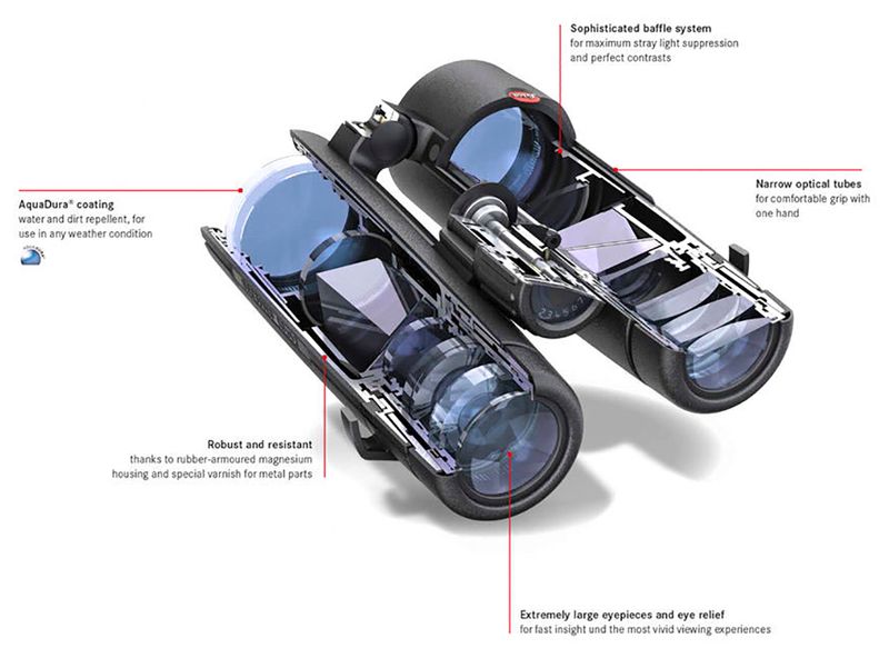 Leica Noctivid 10x42 HD Grønn